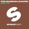 Burn It Up - Peter Gelderblom & Blacktron lyrics