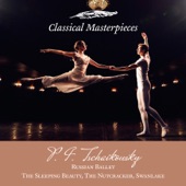 P.I. Tschaikowsky: Russian Ballett: the Nutcracker, the Sleeping Beauty, Swanlake artwork