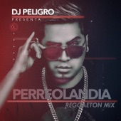 Dj Peligro - Perreolandia, Vol 1 (Reggaeton Mix)
