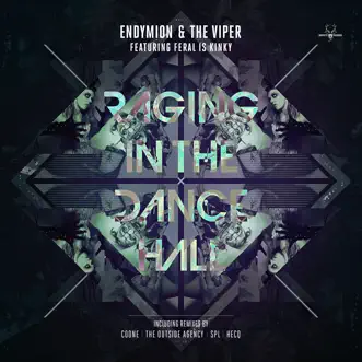 Raging in the Dancehall (feat. FERAL is KINKY) - EP by Endymion & The Viper album reviews, ratings, credits