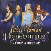 Homecoming: Live in Ireland artwork