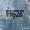 Froze - Niiko x SWAE lyrics