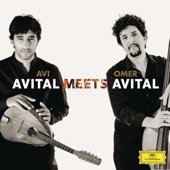 Avital Meets Avital artwork