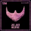 Stream & download Wildfire - Single