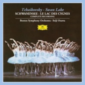 Swan Lake, Op. 20, TH.12, Act III: No. 21, Danse espagnole (Allegro non troppo. Tempo di bolero) artwork