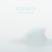 POLARITY — An acoustic jazz project artwork