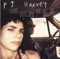 The Letter - PJ Harvey lyrics