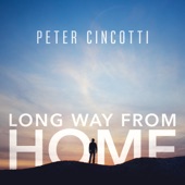 Long Way from Home artwork