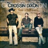 Lovin' in the Country - Single