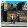Essere Semplice by Diodato iTunes Track 1