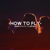 How to Fly (feat. Lepani) artwork