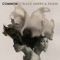 Black America Again (feat. Stevie Wonder) - Common lyrics