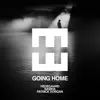Going Home (feat. Nabiha & Patrick Dorgan) song lyrics