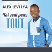 Toi seul peux tout artwork