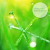 Lime Piano - We Are Lovey Dovey