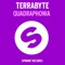 Quadrophonia (Jacob van Hage Remix) - Terrabyte lyrics
