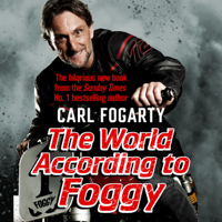 Carl Fogarty - The World According to Foggy artwork
