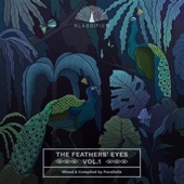 The Feathers' Eyes, Vol. 1 artwork