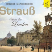 Strauss: Unter den Linden artwork
