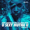 U Sexy Mutha U (Ft. Zhana Roiya) [Radio Edits]