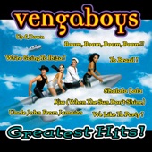 Ho Ho Vengaboys! artwork