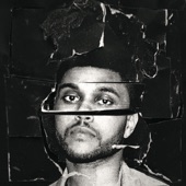 The Weeknd - In the Night