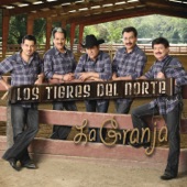 Los Tigres del Norte - Sala De Espera