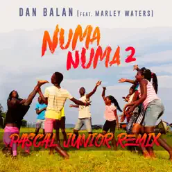 Numa Numa 2 (Pascal Junior Remix) [feat. Marley Waters] - Single - Dan Balan