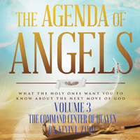 Dr. Kevin L. Zadai - The Agenda of Angels, Vol. 3: The Command Center of Heaven artwork