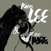 Rico Lee & The Black Pumas - Dust on the Halo