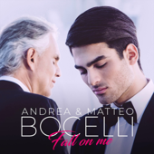 Fall on Me cover