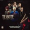 Te Boté (feat. Darell, Ozuna & Nicky Jam) [Remix] artwork