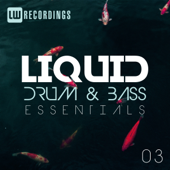 Liquid Drum & Bass Essentials, Vol. 03 - Various Artists