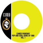 Cameo Parkway Pop and Soul Gems of 1966, Vol. 1