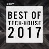 Best of Tech-House 2017, 2017