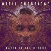 Water in the Desert artwork