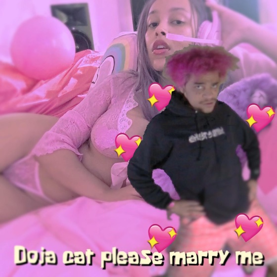 Cover artwork for Doja Cat Please Marry Me
