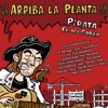 ¡¡¡arriba La Planta!!!