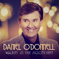 Daniel O'Donnell - Walkin' In the Moonlight artwork