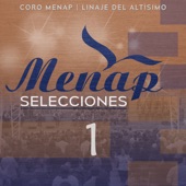 Menap Selecciones 1 (feat. Linaje del Altísimo) artwork