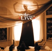 LIVE - Pain Lies On the Riverside