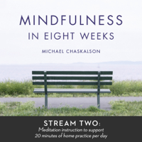 Mindfulness in 8 Weeks: 20 Minutes a Day Program podcast