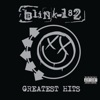 Blink-182 - Another Girl Another Planet