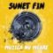 Muzica Nu Moare - Sunet Fin lyrics