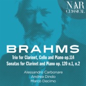 Brahms: Trio for Clarinet, Cello and Piano & Sonatas for Clarinet and Piano artwork