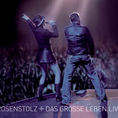 Das grosse Leben (Live 2006) [2 Disc] - Rosenstolz