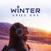 Winter Chill Out: Best Dance Party Electronic Mix, Free & Lively Atmosphere, Groovy & Bizarre Music, Free Time, After Work, Friends, Club Dance, Fantastic Weekend