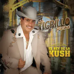 El Rey de la Kush - El Tigrillo Palma El Rey de la Kush - El Tigrillo Palma