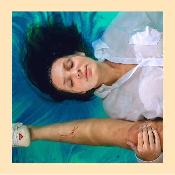 Cover artwork for Nu Her