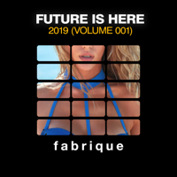 Various Artists - Future Is Here 2019, (Vol. 1) artwork